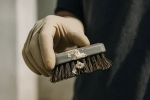 Main gantée tenant une brosse avec des fientes de pigeon séchées en gros plan.