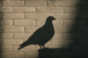 Silhouette d'un pigeon en ombre sur un mur de briques éclairé latéralement.