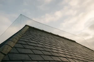 Toiture en ardoise avec un filet anti-pigeons tendu, ciel partiellement nuageux.