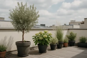 Terrasse urbaine avec plantes en pot et dispositifs anti-pigeons sous un ciel nuageux